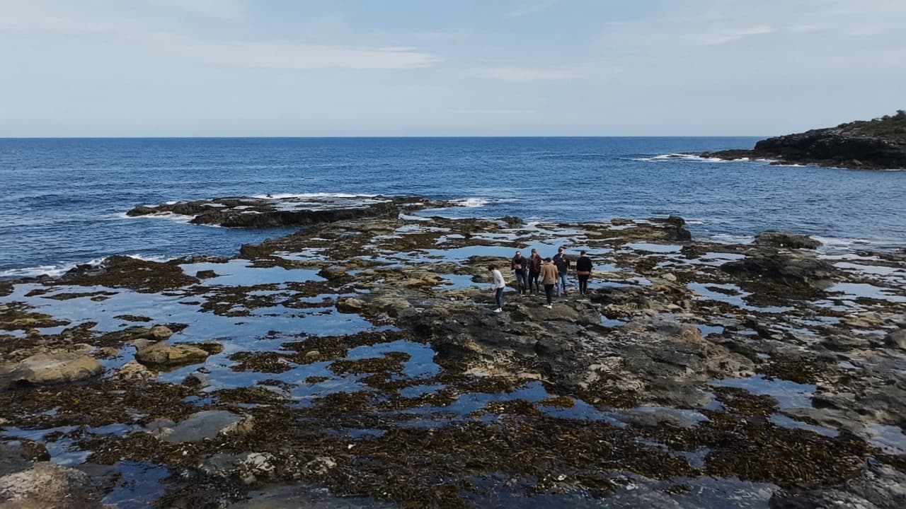 Generated wide view of small unidentifiable silhouettes exploring a rocky shore platform at low tide, with kelp pools and sapphire water beyond.