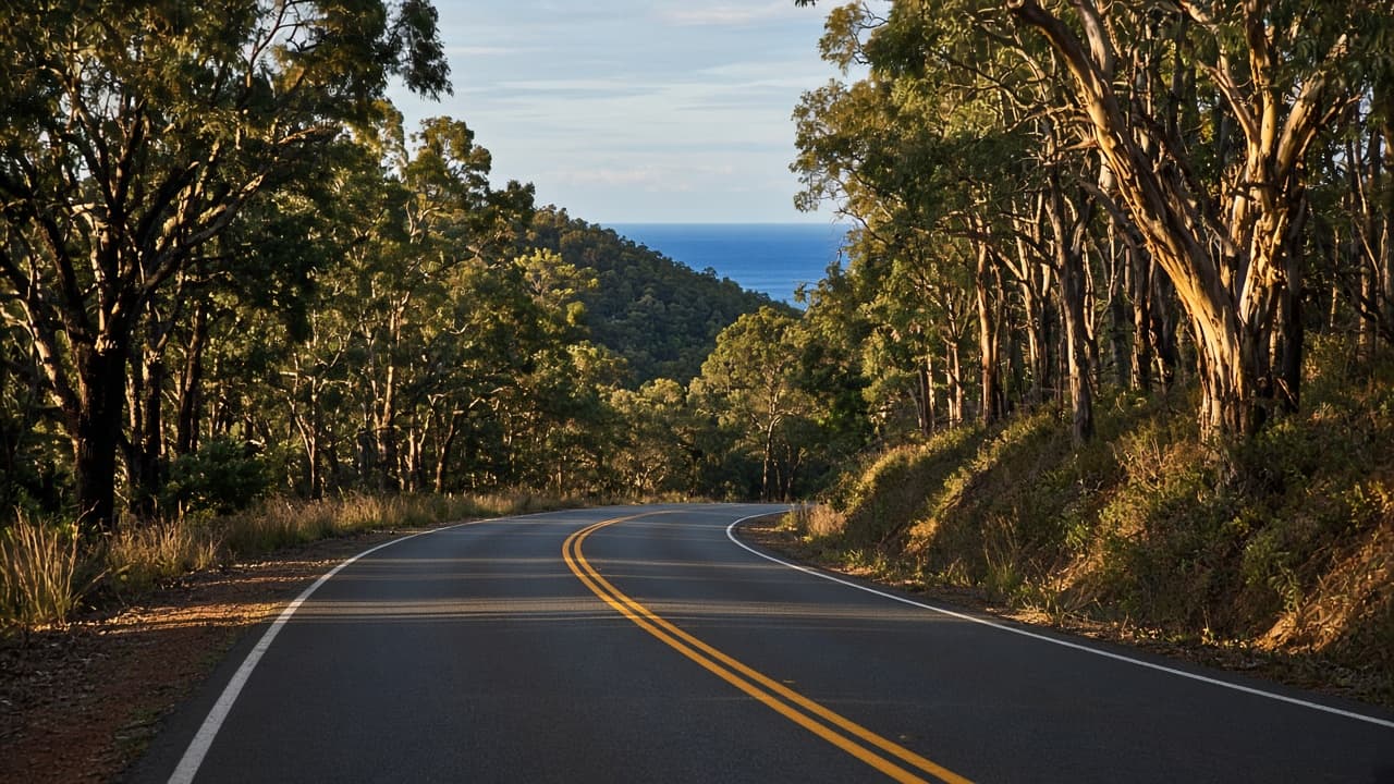 Generated view of a forested far-south NSW highway opening toward the coast.