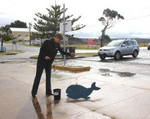 Deb Tranter, Director of ANU Student Equity volunteering to help with the whale blow