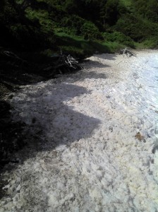 sea foam at shellys beach 2011