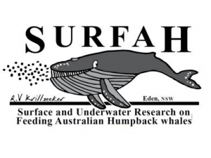 SURFAH Logo
