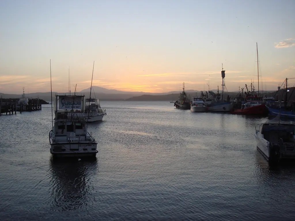 Fishing boats moored at Eden harbour on Twofold Bay